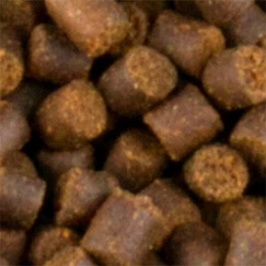Krmivo pre jesetery 4,5 mm 2500 g