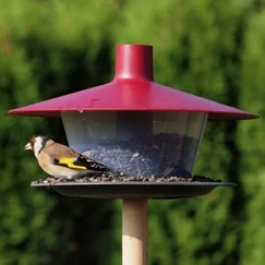 Kŕmidlo pre vtáky Finch - bordové