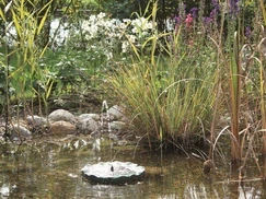 Solárna plávajúca fontána Pontec PondoSolárny ostrov Lily