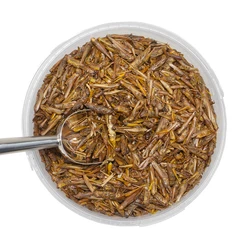 Sušené kobylky 750 g, 5l