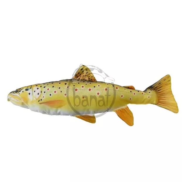 Pstruh potočný 62 cm