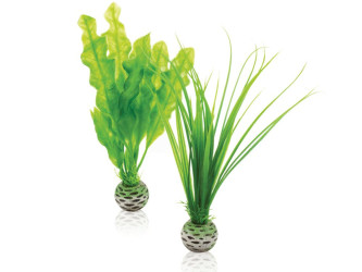 biOrb malá rastlina - zelený set