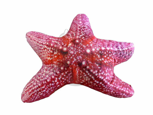 Vankúš Hviezdica morská 50 cm