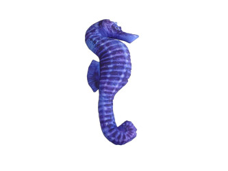 Vankúš Koník morský mini, modrý 40 cm
