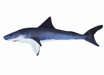 Vankúš Žralok biely mini 53 cm
