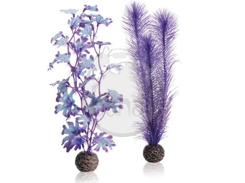 biOrb stredná rastlina - fialový set