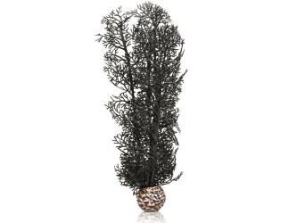 biOrb stredná morská rastlina čierna