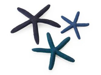 biOrb morské hviezdice set modrý