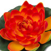 Oranžový kvet lekna priemer 18 cm