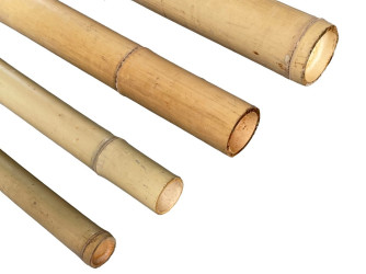 Bambusová tyč priemer 6 cm dĺžka 300 cm
