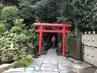 ||Záhrady Kamakura