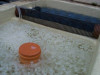 Aqualogistik Schwimmbettmedium 100 litrov vrece