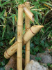 Bambusová vodná hra č. 1