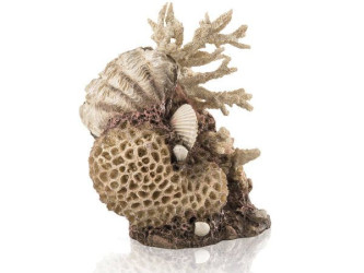 biOrb koral s mušľami prírodný