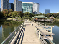 ||Záhrady Tokio Hama Rikyu