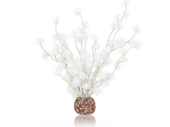 biOrb rastlina Bonsai biela