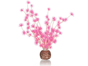 biOrb rastlina Bonsai ružová