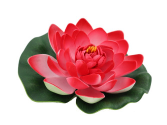 Červenobiely kvet lekna priemer 18 cm