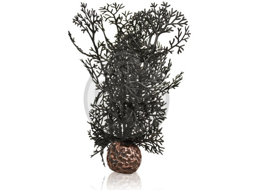 biOrb malá morská rastlina čierna