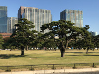 ||Záhrada Tokio Imperial Palace - Cisársky palác
