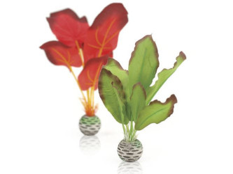 biOrb malá hodvábna rastlina zeleno - červený set