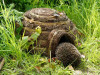 Domček pre ježkov okrúhly