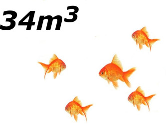 Jazierko s menším počtom rýb do 34 m3