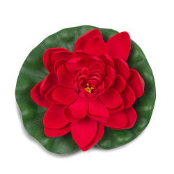 Červený kvet lekna priemer 18 cm