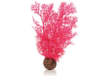 biOrb malá morská rastlina ružová