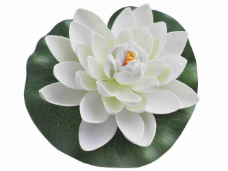 Biely kvet lekna priemer 18 cm