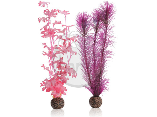 biOrb stredná rastlina - ružový set