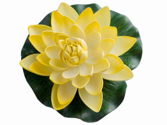 Žltý kvet lekna priemer 18 cm