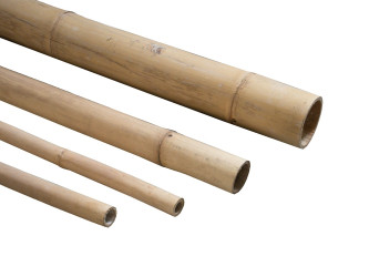 Bambusová tyč priemer 8 cm dĺžka 220 cm