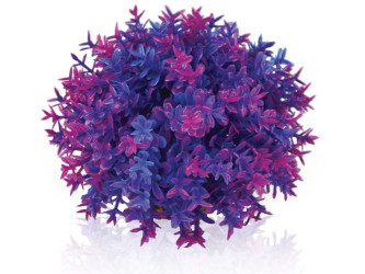 biOrb kvetinová guľa fialová
