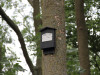 Búdka pre netopiere - drevobetón / preglejka