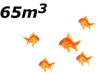Jazierko s menším počtom rýb do 65 m3