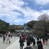 |6567| | Záhrady Kamakura