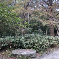 |6571| | Záhrady Kamakura