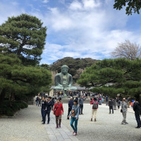 |6573| | Záhrady Kamakura