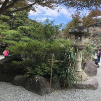 |6574| | Záhrady Kamakura