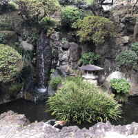 |6581| | Záhrady Kamakura