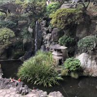 |6582| | Záhrady Kamakura