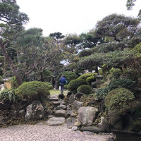 |6583| | Záhrady Kamakura
