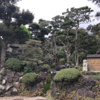 |6587| | Záhrady Kamakura