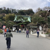 |6588| | Záhrady Kamakura