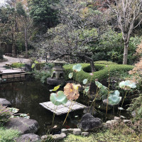 |6590| | Záhrady Kamakura