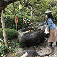 |6592| | Záhrady Kamakura