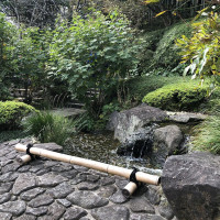 |6595| | Záhrady Kamakura