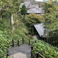 |6610| | Záhrady Kamakura