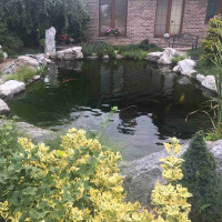 |7505|Okrasné zahradní jezírko u domu | Jazierka pre inšpiráciu